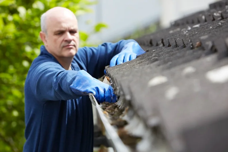 Reputable Gutter Cleaning Services Painesville OH